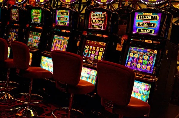 pakavaitor Sportsbook